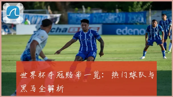 世界杯夺冠赔率一览：热门球队与黑马全解析